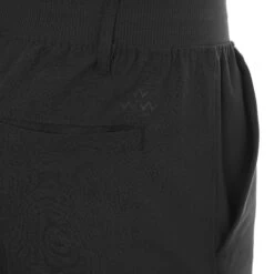 Birds Of Condor Player Pant -Sportswear Store Birds Of Condor Player Pant TP22100 Black 3